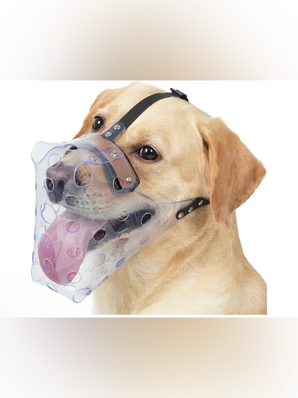 Clear Basket Anti-Bite Dog Muzzle with Black Straps - Pets Dog